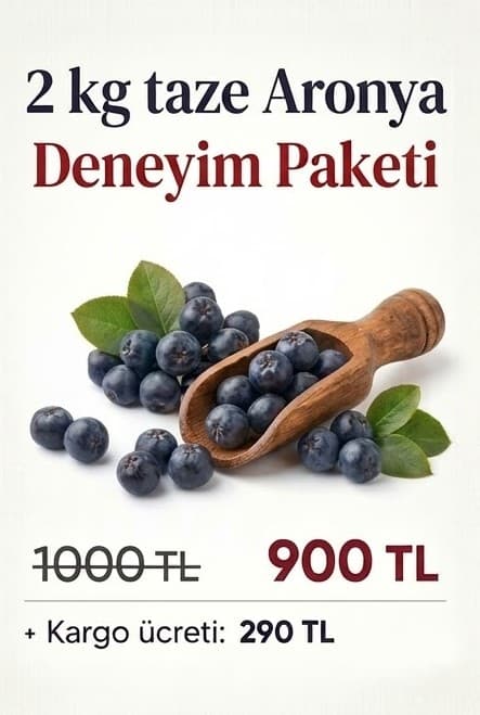 2 kg Taze Aronya paket seçeneği