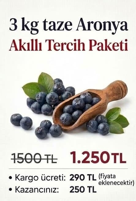 3 kg Taze Aronya paket seçeneği