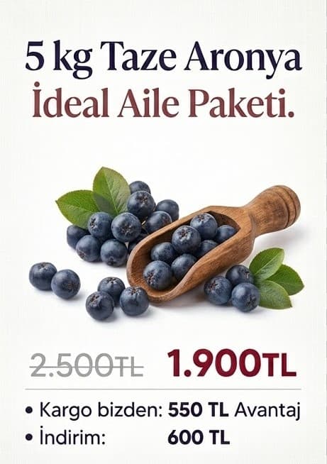 5 kg Taze Aronya paket seçeneği