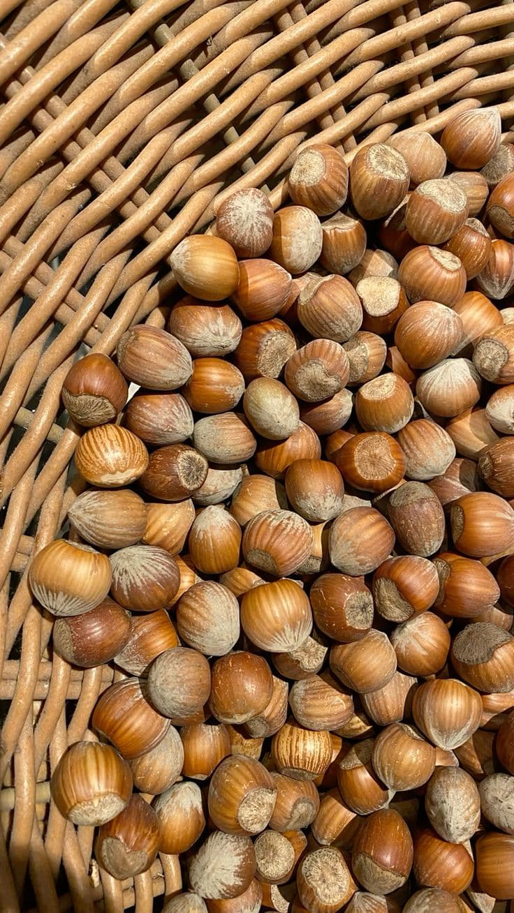 Giresun Fındığı 5 kg – Atranos Farm - ürün görseli 3