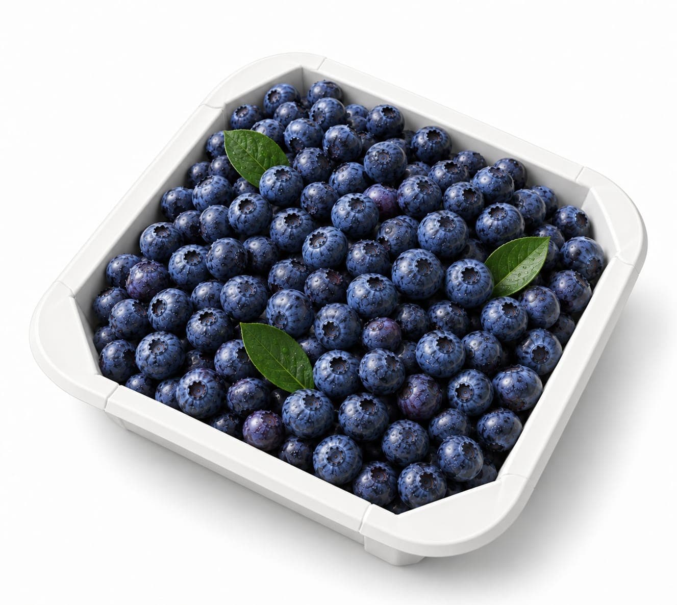 Blueberry