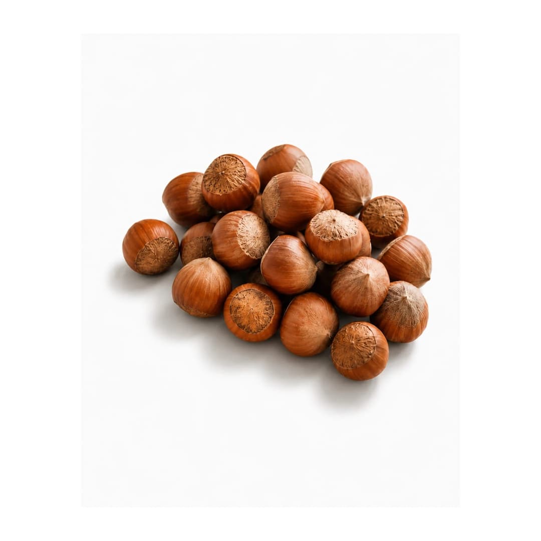 Giresun Fındığı 5 kg – Atranos Farm